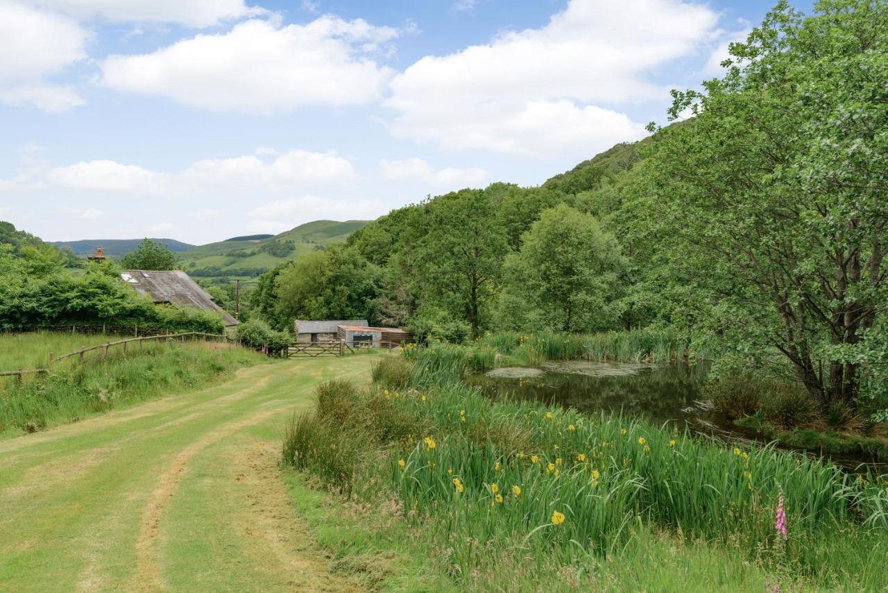 Villa Groes Heol Machynlleth Exterior foto
